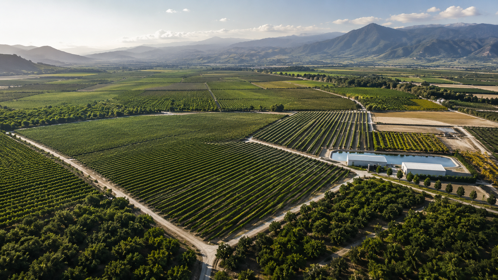 Future Land Group agricultural development